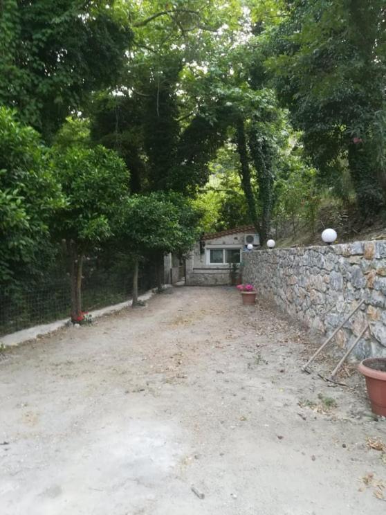 Angela'S River Paradise Μιξόρρουμα